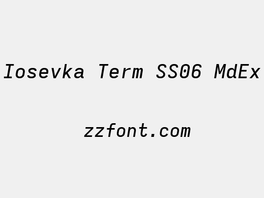 Iosevka Term SS06 MdEx
