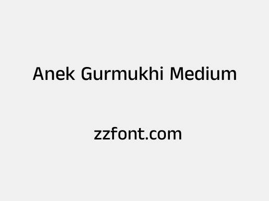 Anek Gurmukhi Medium