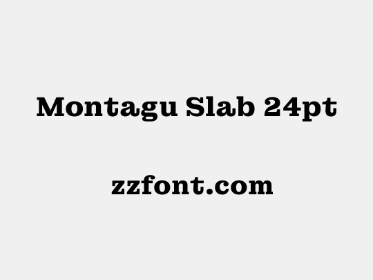 Montagu Slab 24pt