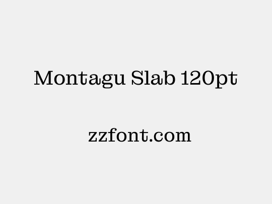 Montagu Slab 120pt