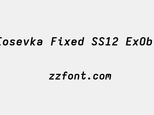 Iosevka Fixed SS12 ExObl