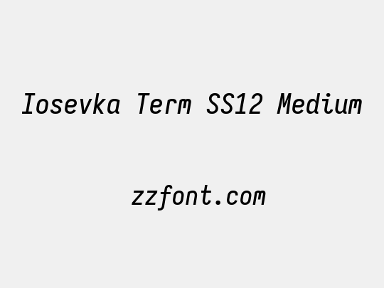Iosevka Term SS12 Medium