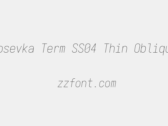 Iosevka Term SS04 Thin Oblique