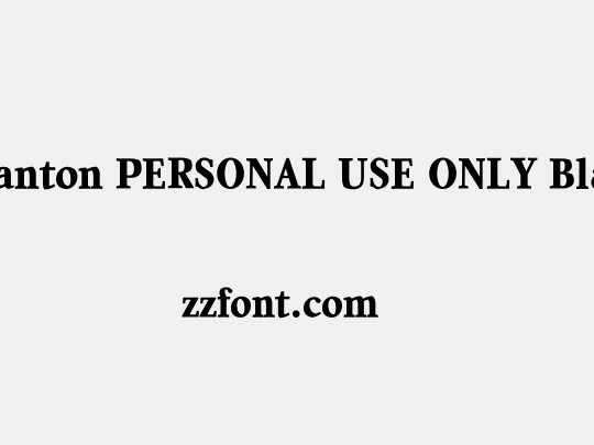 Quanton PERSONAL USE ONLY Black