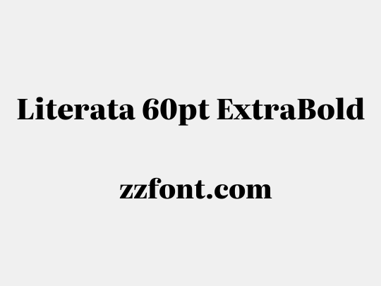 Literata 60pt ExtraBold