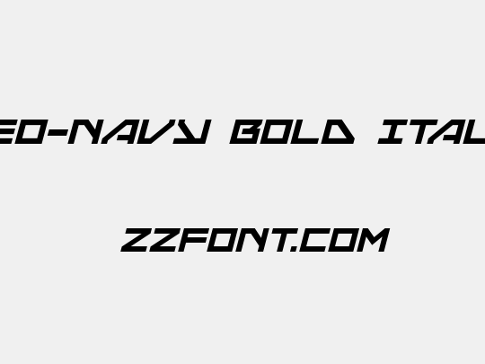 Neo-Navy Bold Italic