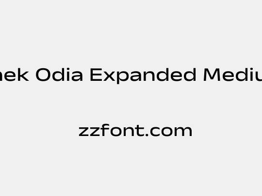 Anek Odia Expanded Medium