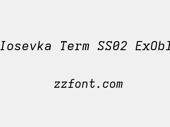 Iosevka Term SS02 ExObl