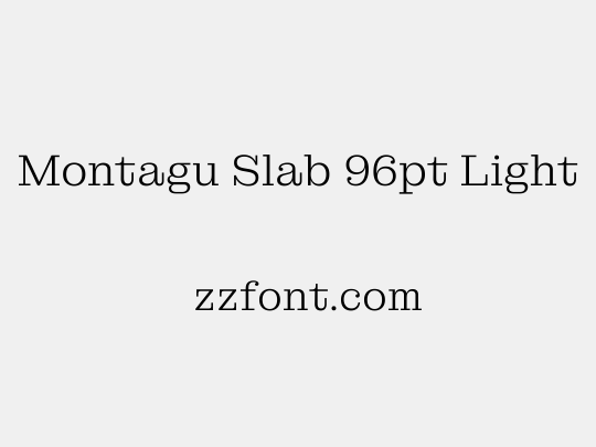 Montagu Slab 96pt Light