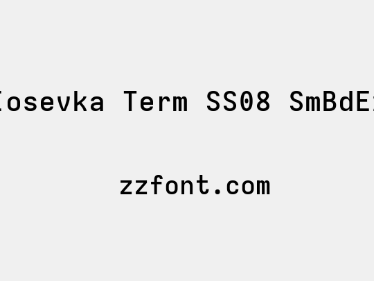Iosevka Term SS08 SmBdEx