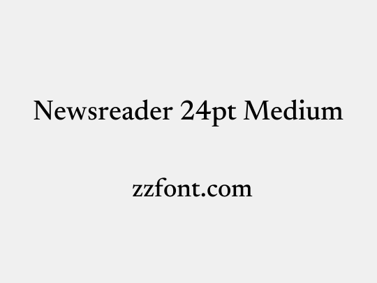 Newsreader 24pt Medium
