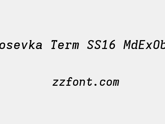 Iosevka Term SS16 MdExObl
