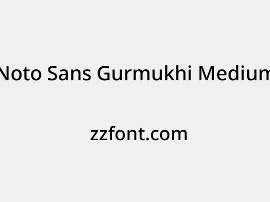 Noto Sans Gurmukhi Medium