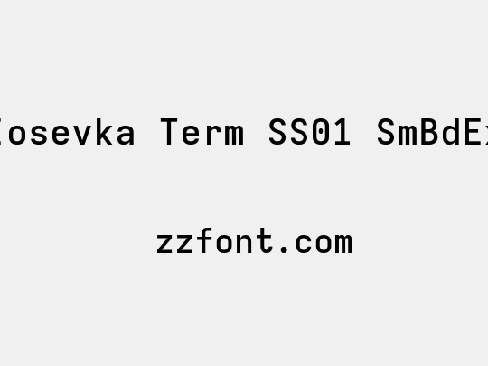 Iosevka Term SS01 SmBdEx