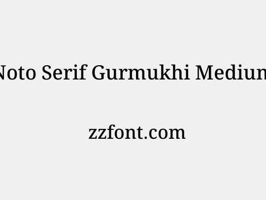 Noto Serif Gurmukhi Medium