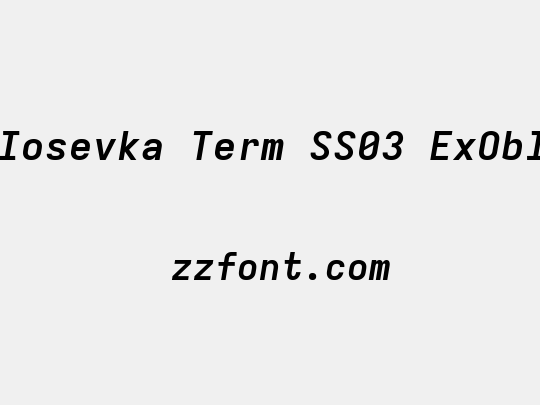 Iosevka Term SS03 ExObl