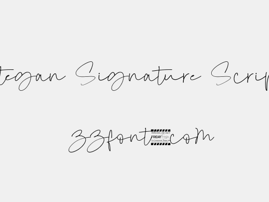 Otegan Signature Script