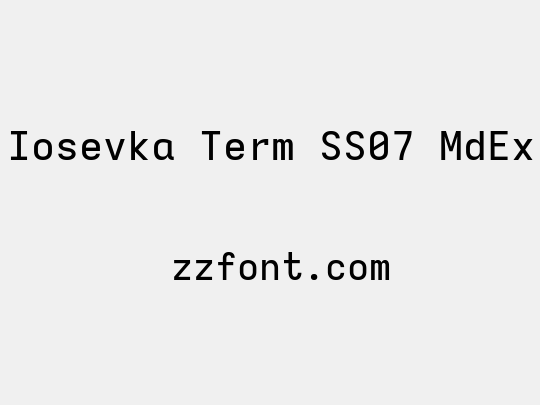 Iosevka Term SS07 MdEx