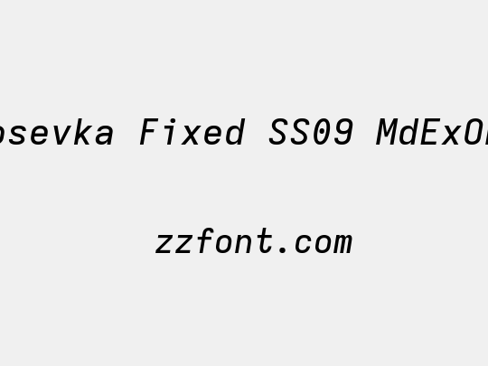 Iosevka Fixed SS09 MdExObl