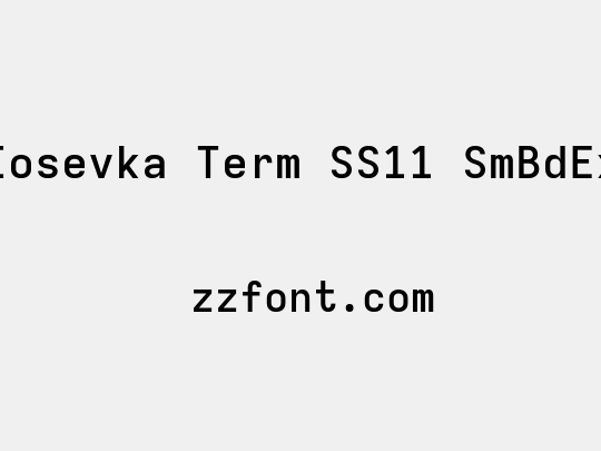 Iosevka Term SS11 SmBdEx