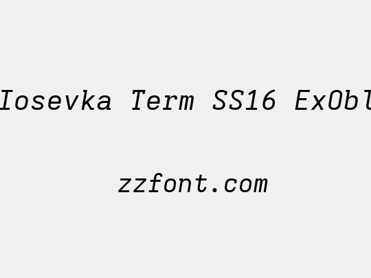 Iosevka Term SS16 ExObl
