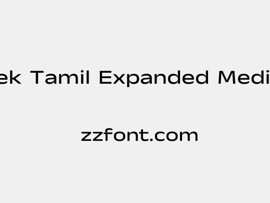 Anek Tamil Expanded Medium