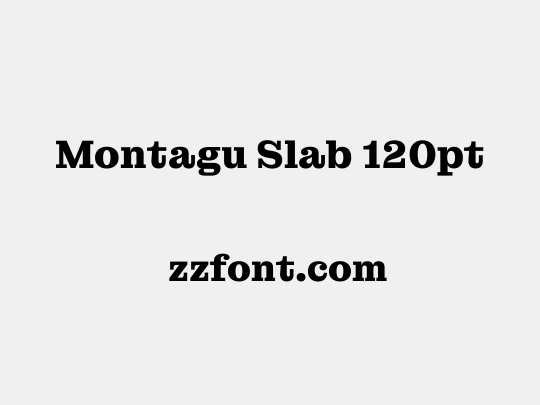 Montagu Slab 120pt