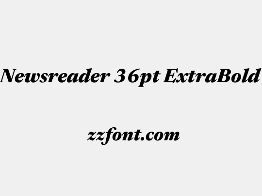 Newsreader 36pt ExtraBold