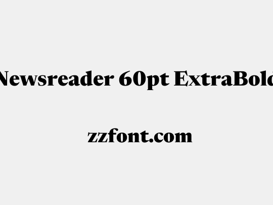 Newsreader 60pt ExtraBold