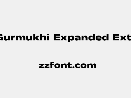 Anek Gurmukhi Expanded ExtraBold