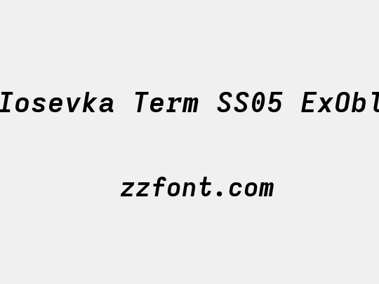 Iosevka Term SS05 ExObl