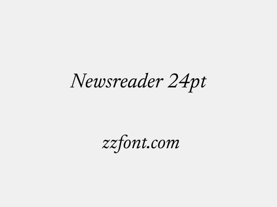 Newsreader 24pt