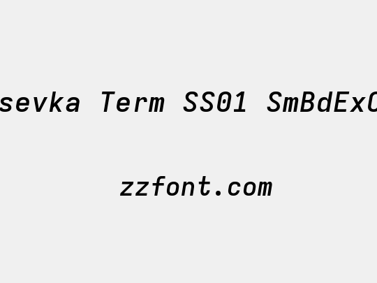 Iosevka Term SS01 SmBdExObl