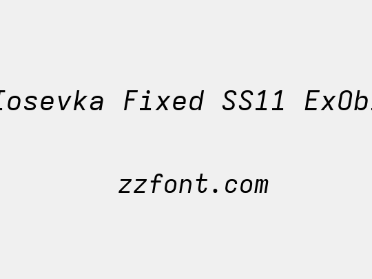 Iosevka Fixed SS11 ExObl