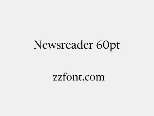 Newsreader 60pt