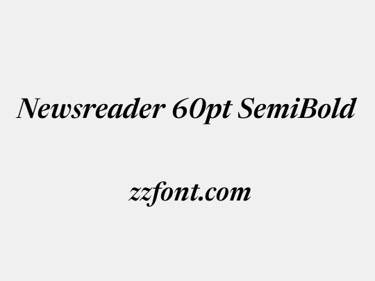 Newsreader 60pt SemiBold
