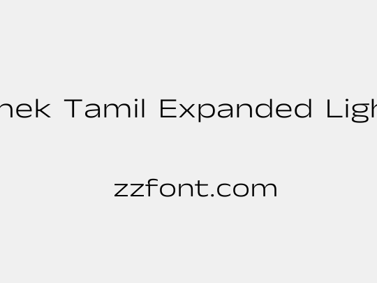 Anek Tamil Expanded Light