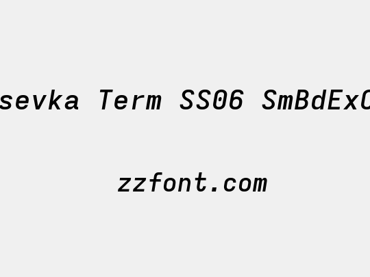 Iosevka Term SS06 SmBdExObl