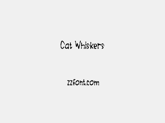 Cat Whiskers