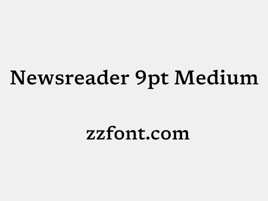 Newsreader 9pt Medium