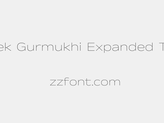 Anek Gurmukhi Expanded Thin