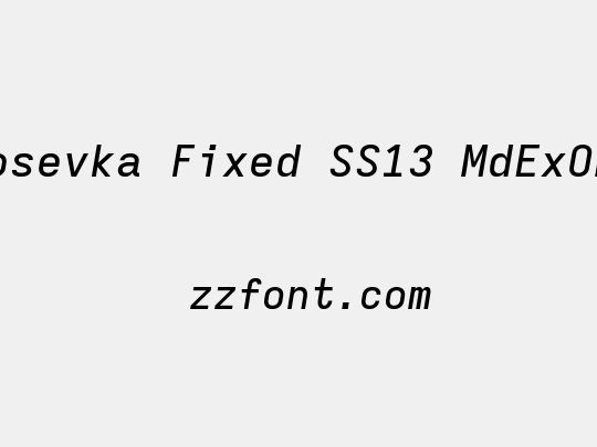 Iosevka Fixed SS13 MdExObl