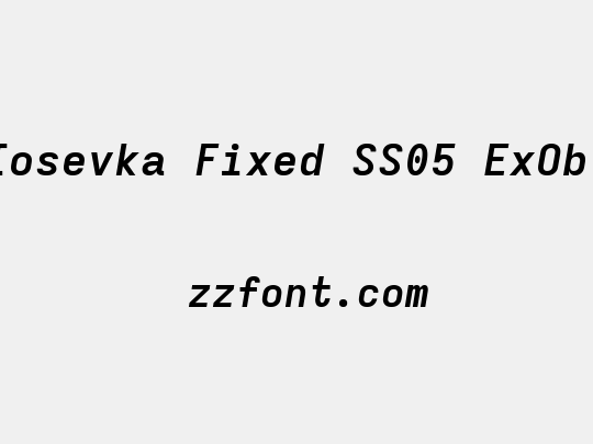 Iosevka Fixed SS05 ExObl