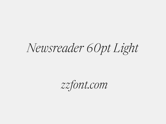 Newsreader 60pt Light
