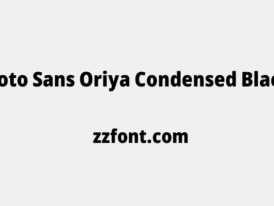 Noto Sans Oriya Condensed Black