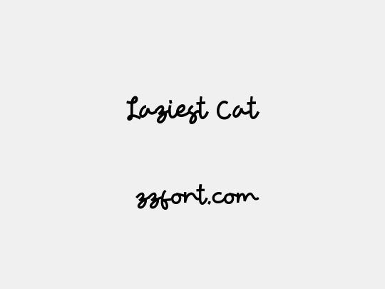 Laziest Cat