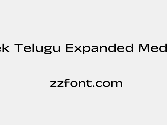 Anek Telugu Expanded Medium