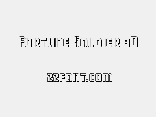 Fortune Soldier 3D