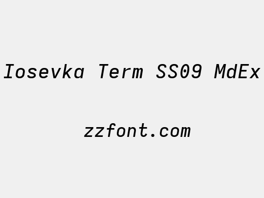 Iosevka Term SS09 MdEx