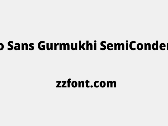 Noto Sans Gurmukhi SemiCondensed Black
